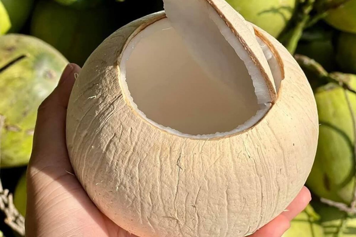 Dừa xiêm gọt trọc tốt cho sức khỏe
