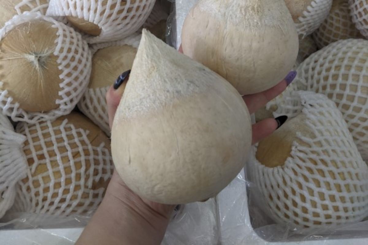 Giá dừa trọc tại Cocovietnam.vn chỉ từ 20.000đ/trái (tùy mùa vụ)