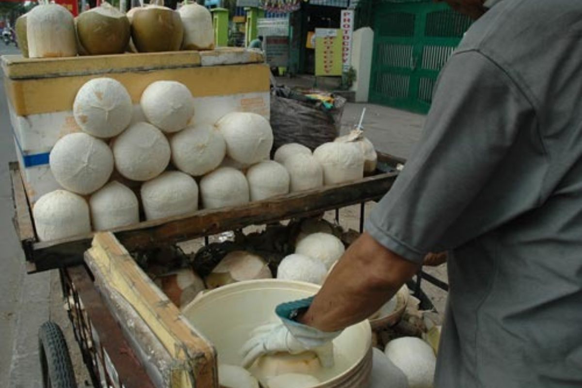 Dừa trọc ngâm hóa chất để giúp vỏ không bị đen