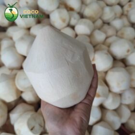 Khắc tên, logo lên dừa gọt kim cương theo yêu cầu tại Cocovietnam.vn