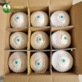 Cocovietnam.vn hỗ trợ đóng gói theo yêu cầu khi xuất khẩu dừa gọt kim cương