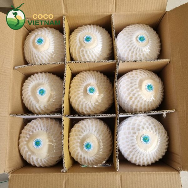 Cocovietnam.vn hỗ trợ đóng gói theo yêu cầu khi xuất khẩu dừa gọt kim cương