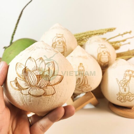 Xưởng cung cấp dừa khắc chữ, dừa khắc tên, khắc logo theo yêu cầu - Giá từ 20.000đ/trái