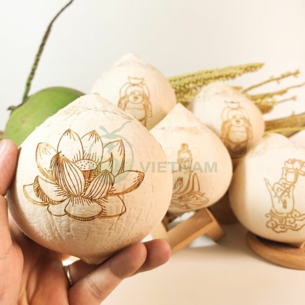 Xưởng cung cấp dừa khắc chữ, dừa khắc tên, khắc logo theo yêu cầu - Giá từ 20.000đ/trái