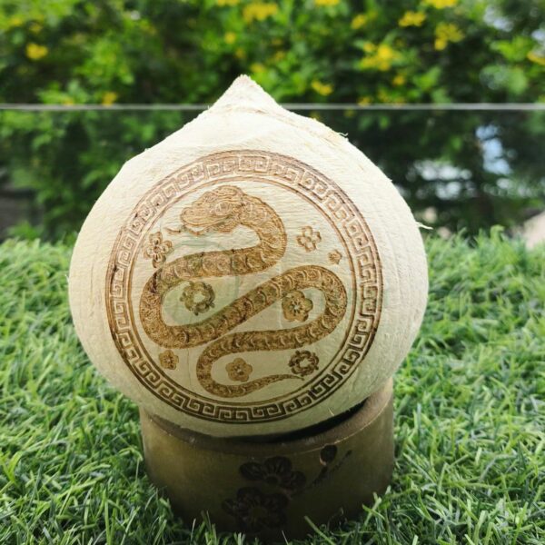 Xưởng cung cấp dừa khắc chữ, dừa khắc tên, khắc logo theo yêu cầu - Giá từ 20.000đ/trái
