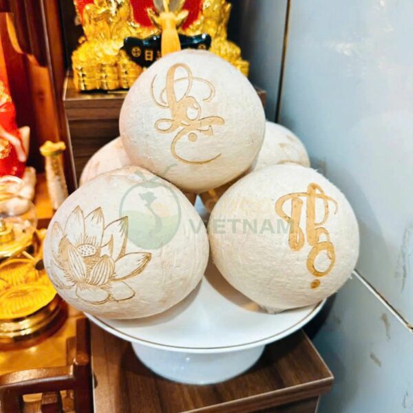 Xưởng cung cấp dừa khắc chữ, dừa khắc tên, khắc logo theo yêu cầu - Giá từ 20.000đ/trái