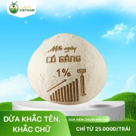 Xưởng cung cấp dừa khắc chữ, dừa khắc tên, khắc logo theo yêu cầu - Giá từ 20.000đ/trái