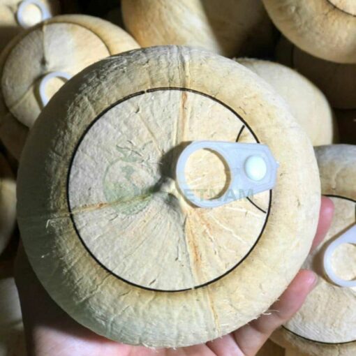 Xưởng dừa nắp khoen, nắp bật - khắc tên, khắc logo theo yêu cầu - Giá từ 25k/trái