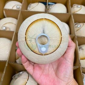 Xưởng dừa nắp khoen, nắp bật - khắc tên, khắc logo theo yêu cầu - Giá từ 25k/trái