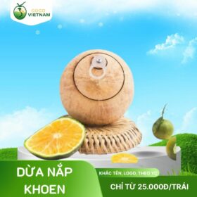Xưởng dừa nắp khoen, nắp bật - khắc tên, khắc logo theo yêu cầu - Giá từ 25k/trái