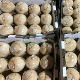 Xưởng dừa nắp khoen, nắp bật - khắc tên, khắc logo theo yêu cầu - Giá từ 25k/trái