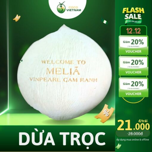 dừa trọc cocovietnam