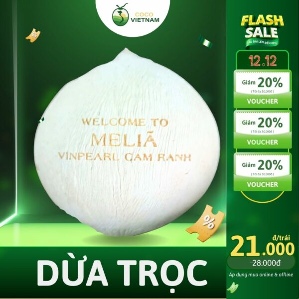 dừa trọc cocovietnam