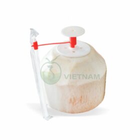Dừa nút nhấn tại Cocovietnam từ 25.000đ/trái