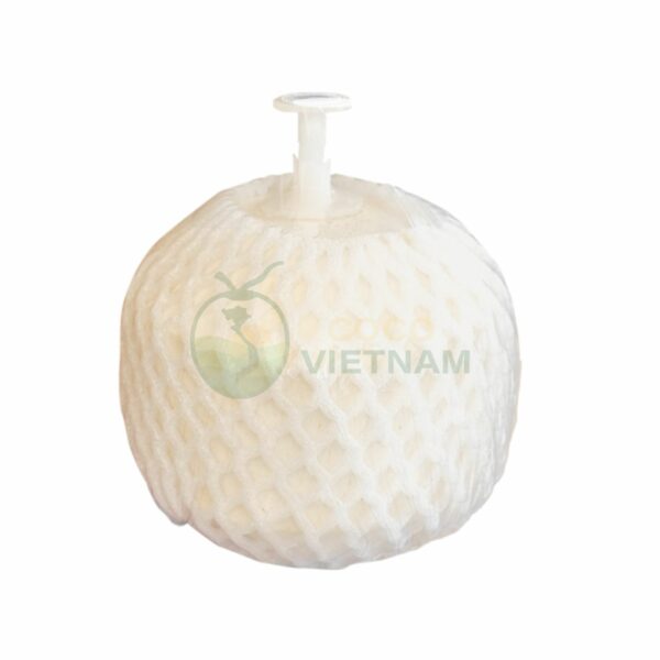 Chỉ cần một lần nhấn nút là uống dễ dàng