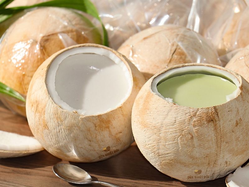 Rau câu dừa trái mix màu