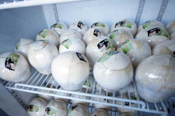Cách bảo quản dừa xiêm gọt trọc trong ngăn mát tủ lạnh