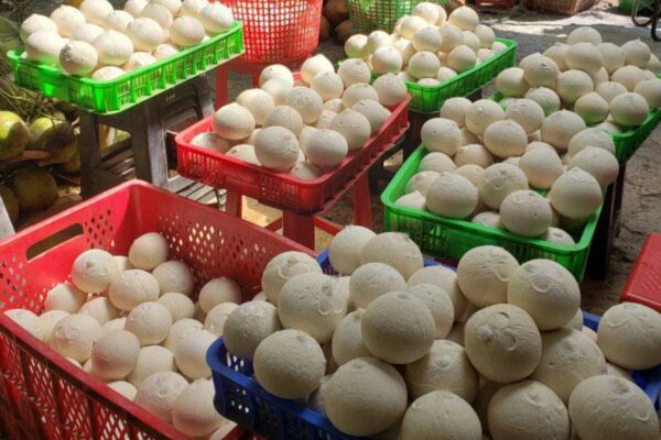 Cocovietnam.vn - Xưởng dừa gọt trọc Bến Tre sạch, chất lượng