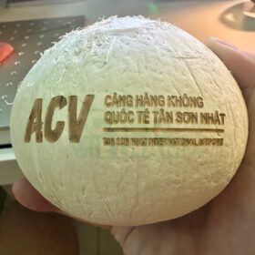 Alternative view of Dừa gọt trọc Hội An tại Cocovietnam.vn chỉ từ 23.000đ, chiết khấu cao khi đặt số lượng lớn