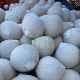 Dừa dứa bao nhiêu 1 trái? Cập nhật giá dừa xiêm dứa mới nhất